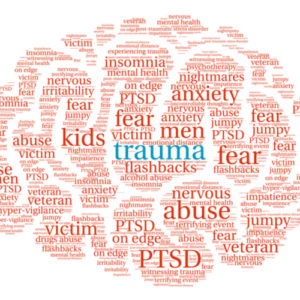 What is Trauma Informed Social Work?